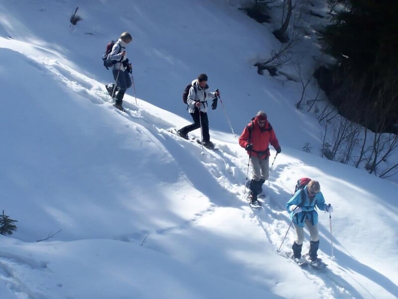 Quatre randonneurs marchant en raquettes sur un sentier enneigé en forêt sous un ciel bleu.