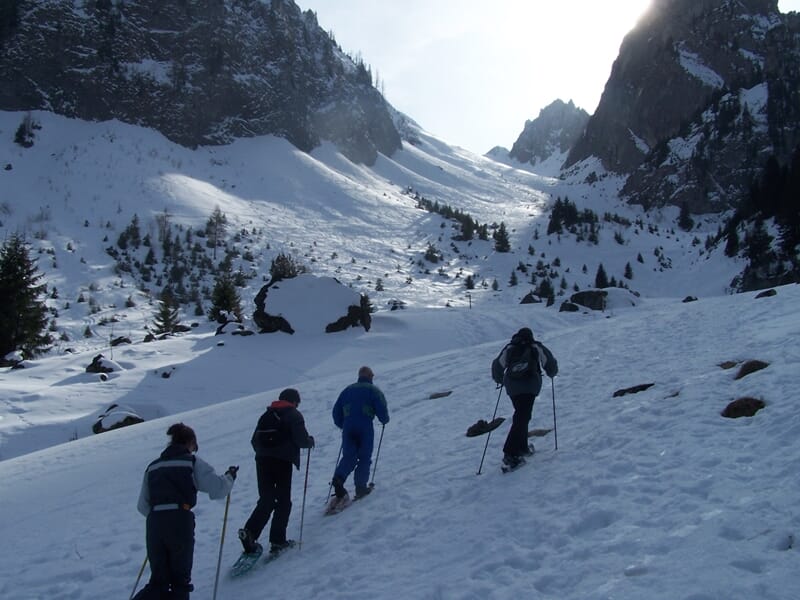 Quatre personnes en raquettes à neige gravissent une pente enneigée entourée de montagnes et de sapins.