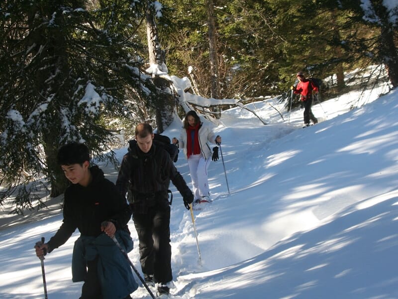 Groupe de cinq personnes marchant en raquettes dans une forêt enneigée sous un ciel clair et ensoleillé.