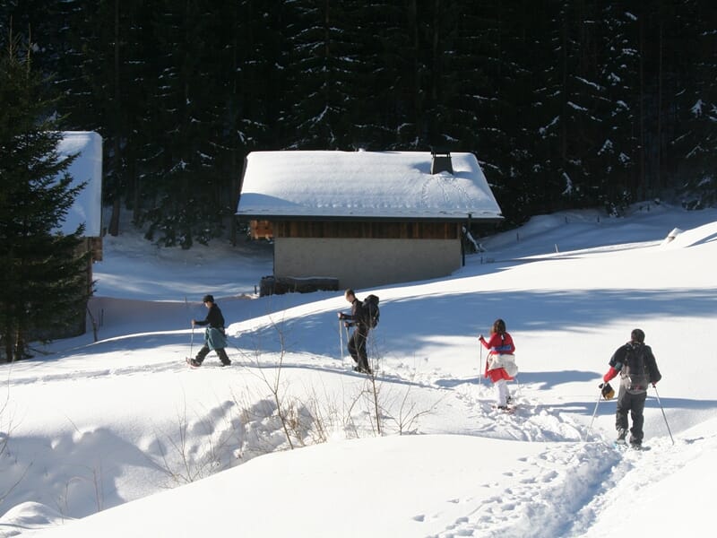 Cinq randonneurs en raquettes traversent un paysage enneigé avec une petite cabane en bois et des arbres.