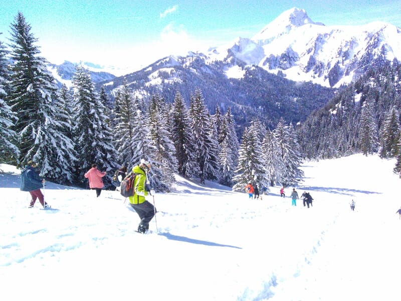 Plusieurs randonneurs en raquettes progressent dans une vaste étendue de neige avec montagnes et sapins en arrière-plan.