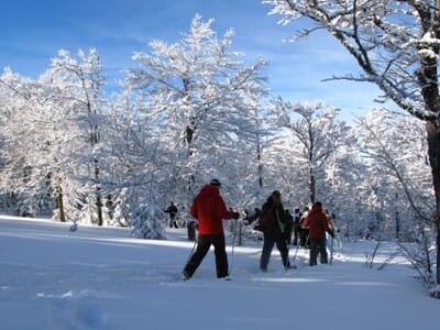 Randonnée en Raquettes au Lac Blanc dans les Vosges