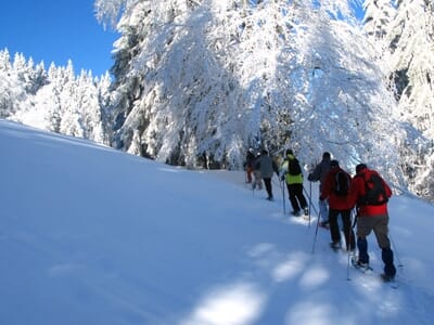 Randonnée en Raquettes au Brézouard dans les Vosges
