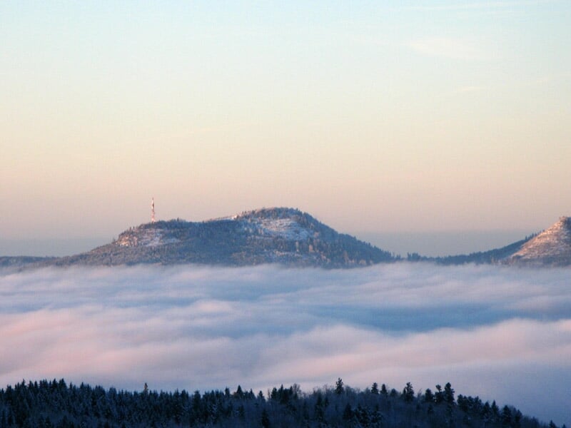 Montagnes partiellement couvertes de forêt avec un épais brouillard dans la vallée sous un ciel pastel.