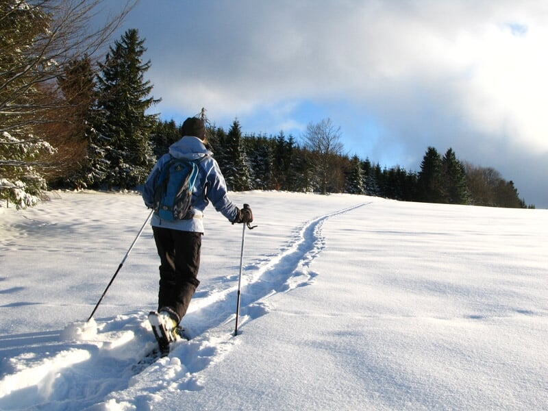 Personne seule en randonnée avec bâtons dans une étendue de neige fraîche entourée de sapins verts.