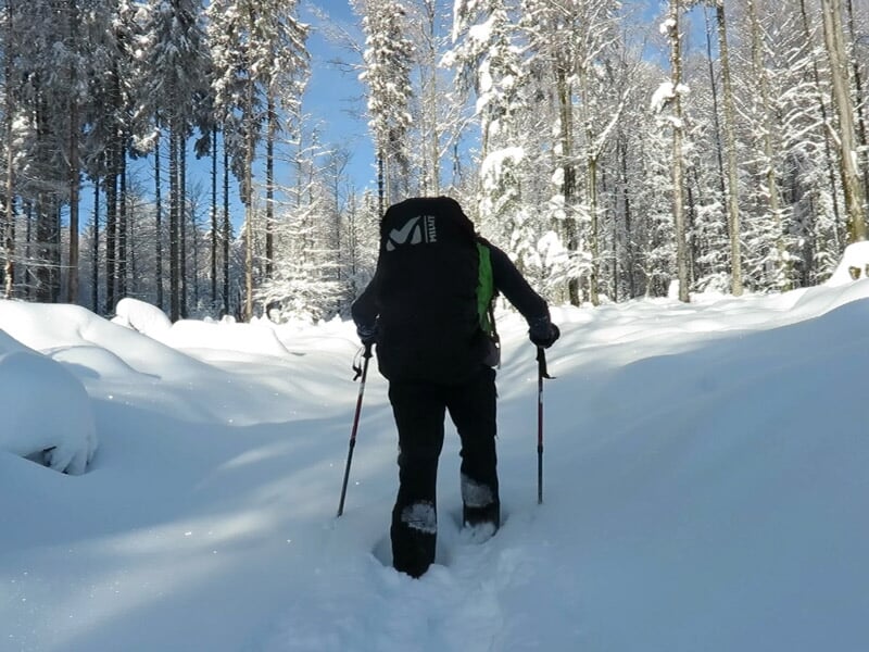 Randonneur avec sac à dos progressant dans une forêt dense couverte de neige fraîche en hiver.