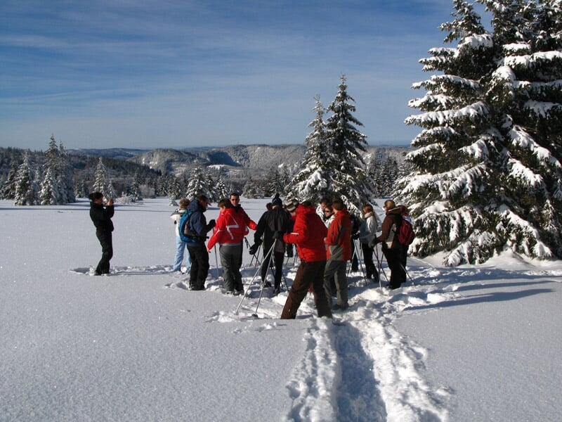 Groupe de randonneurs en raquettes à neige dans un paysage enneigé avec sapins et ciel bleu clair.