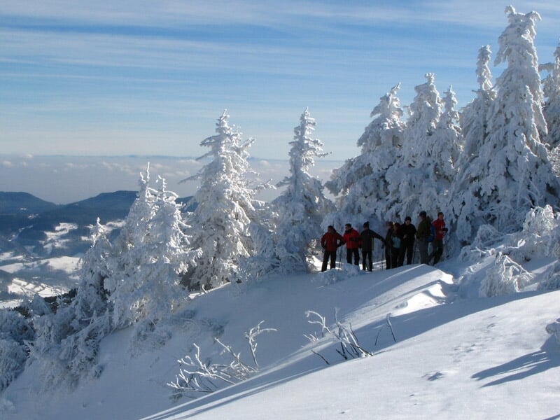 Groupe de personnes en raquettes à neige posant sur un sommet enneigé avec sapins givrés et ciel bleu.