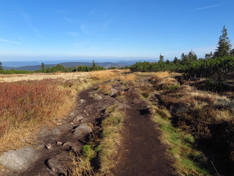 Sentier de randonnée rocailleux traversant une prairie avec herbes sèches et buissons sous un ciel bleu.