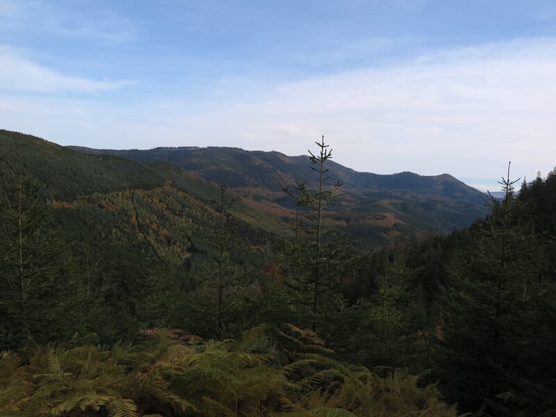 Vue panoramique sur une forêt dense et des collines sous un ciel partiellement nuageux