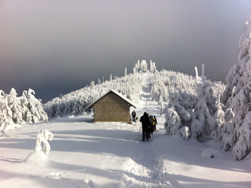 Groupe de randonneurs en raquettes marchant vers un chalet dans un paysage enneigé