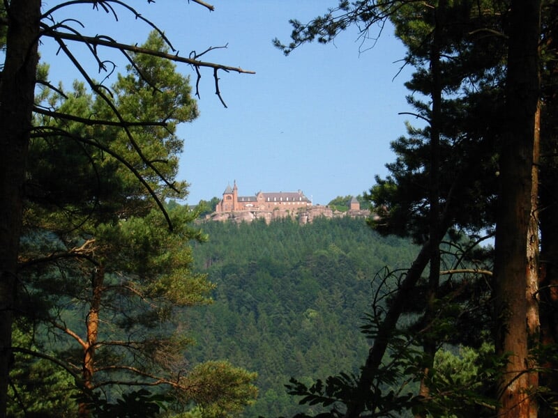 Vue d'un château ou monastère perché sur une colline entourée de forêt dense