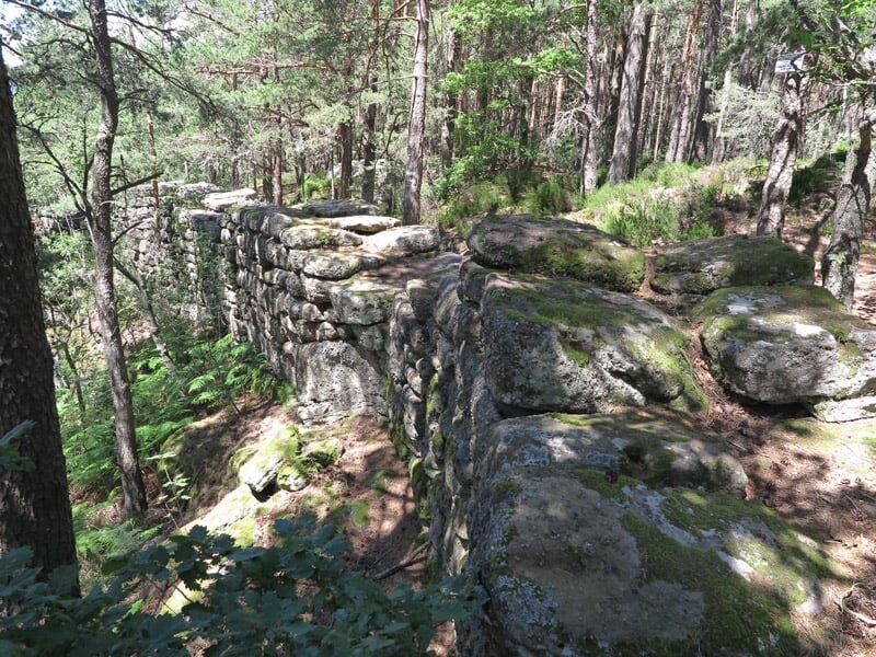Ruines d'un mur en pierre dans une forêt avec sentier et végétation verte