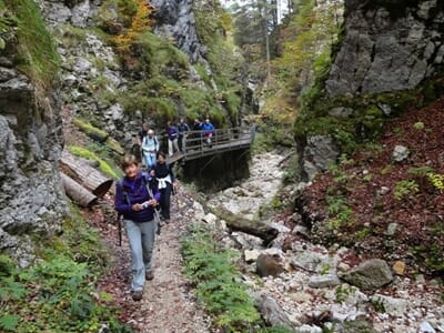 Randonnée Accompagnée au Grand Ballon