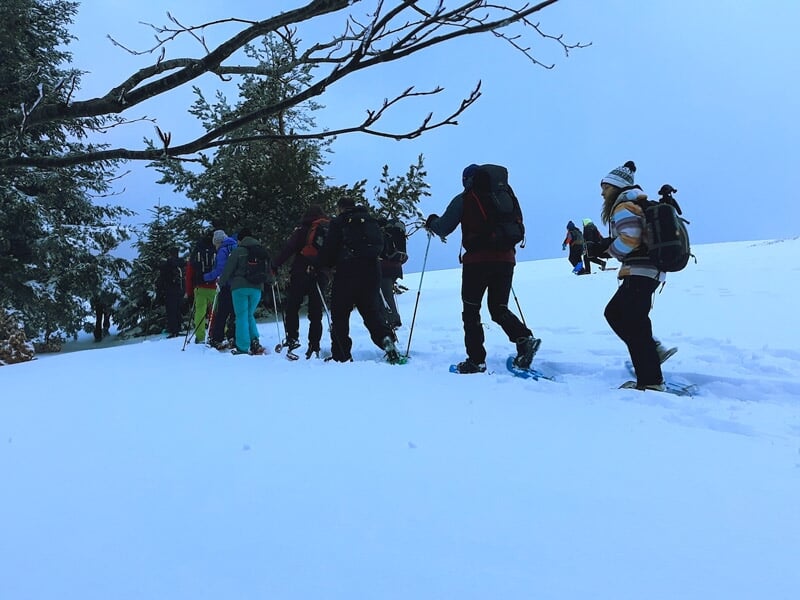 Groupe de randonneurs en raquettes à neige progressant sur une pente enneigée.
