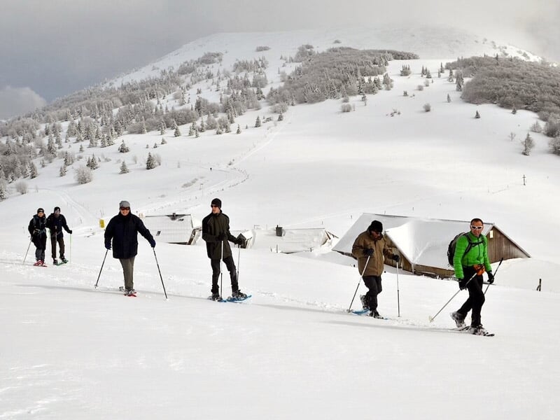 Cinq personnes en raquettes à neige marchant sur un terrain enneigé avec des bâtiments en arrière-plan.