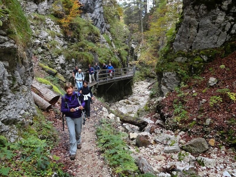 Randonneurs marchant sur un sentier rocheux entouré de végétation verte en automne.