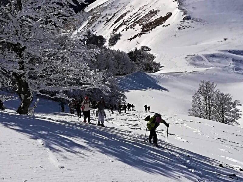 Groupe de personnes en raquettes à neige marchant dans une forêt enneigée avec des arbres givrés.