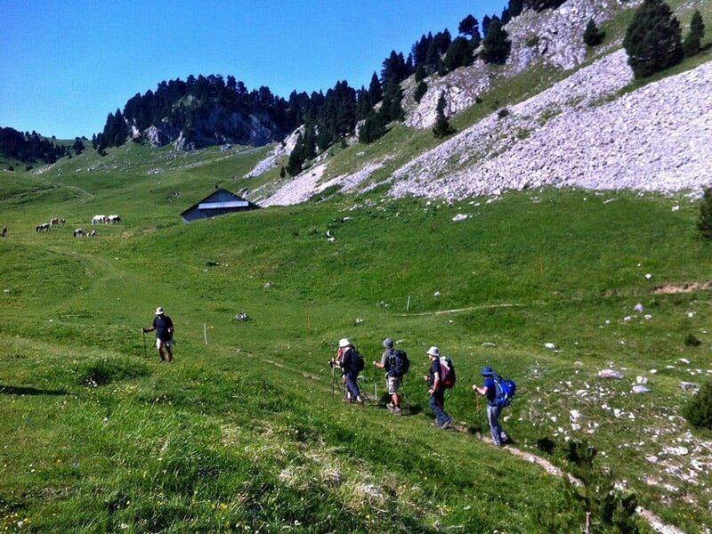 Randonneurs marchant sur un sentier herbeux en montagne sous un ciel bleu avec des rochers et des arbres.