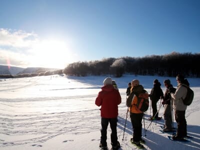 Randonnée en Raquettes à neige à Gérardmer