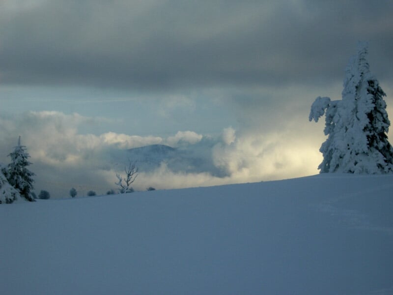 Colline enneigée avec un sapin isolé et un ciel nuageux laissant passer quelques rayons de lumière.