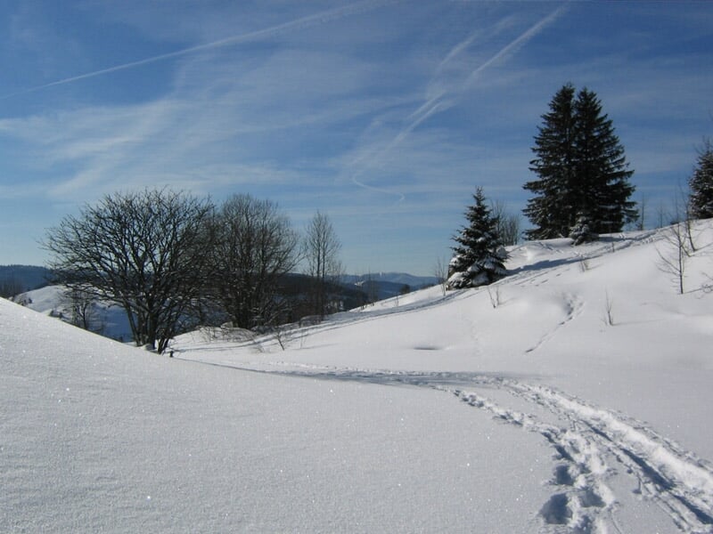 Sentier de randonnée dans la neige avec des traces de pas, arbres et collines sous un ciel bleu clair.