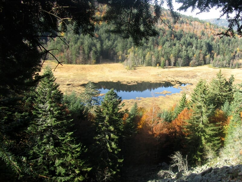 Paysage d'automne avec un lac entouré d'arbres verts et jaunes, vu depuis un point de vue en hauteur.