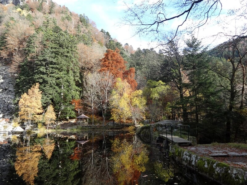 Petit étang entouré d'arbres aux couleurs d'automne avec un pont en bois et un ciel partiellement nuageux.