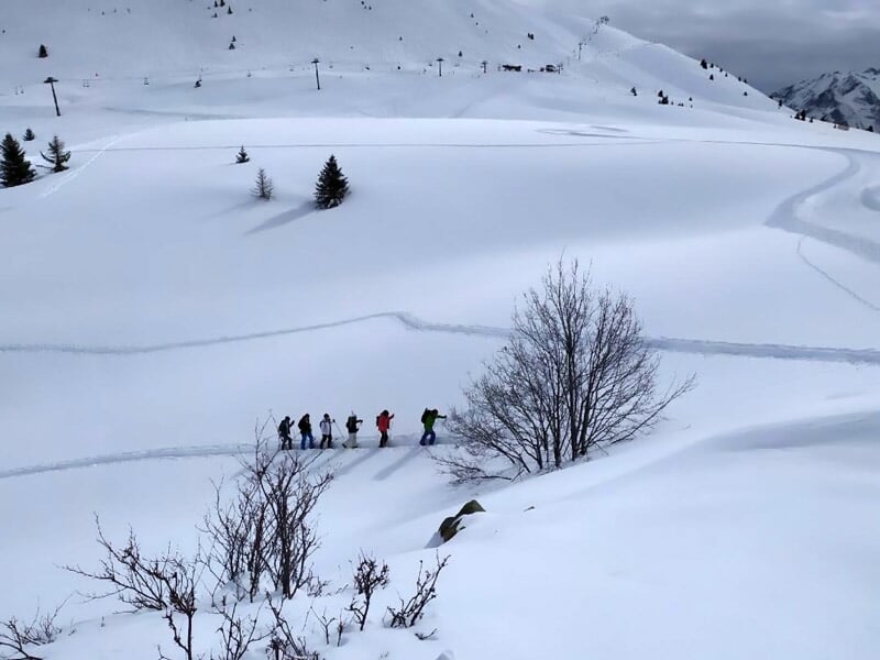Groupe de randonneurs en raquettes progressant sur un sentier enneigé dans un paysage montagneux blanc et paisible.