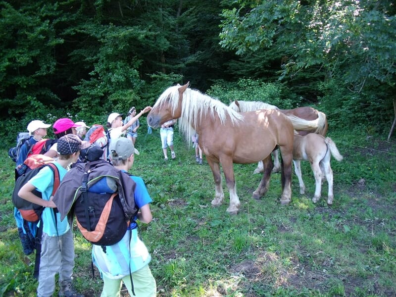 gsdSeo.titreRandonnée Accompagnée thématique près d'Annemasse