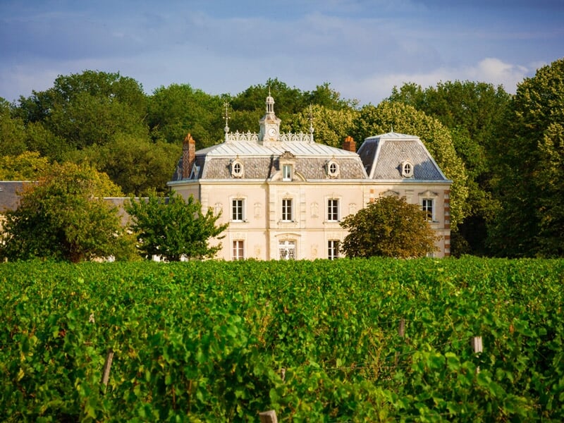 Petit château élégant entouré de vignes vertes sous un ciel clair et lumineux.
