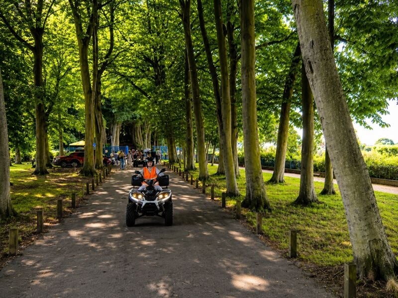 Personne en gilet orange conduisant un quad sur une allée bordée d'arbres verts en pleine journée ensoleillée.