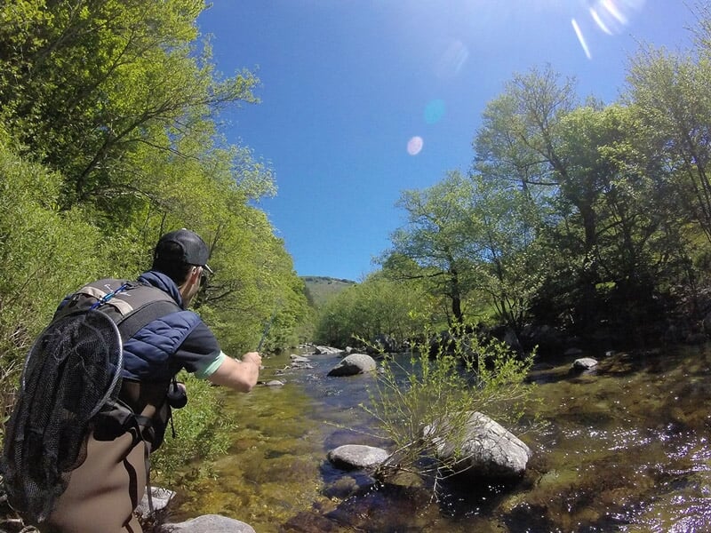 Un pêcheur lance sa ligne dans une rivière claire entourée d'arbres sous un ciel bleu lumineux.