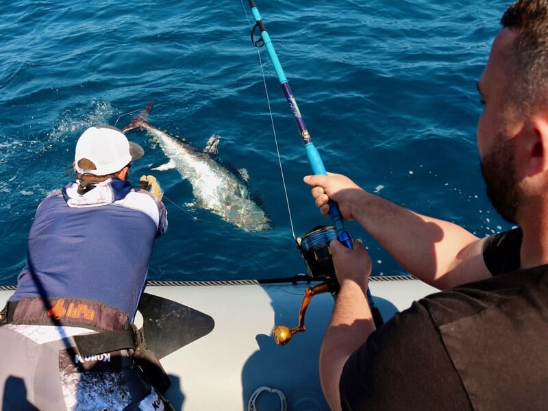 Deux hommes sur un bateau en mer, l'un tient une canne à pêche, l'autre attrape un gros poisson à la main.