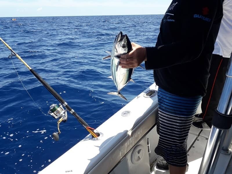 Homme en short tenant un petit thon argenté à bord d’un bateau en mer avec canne à pêche.