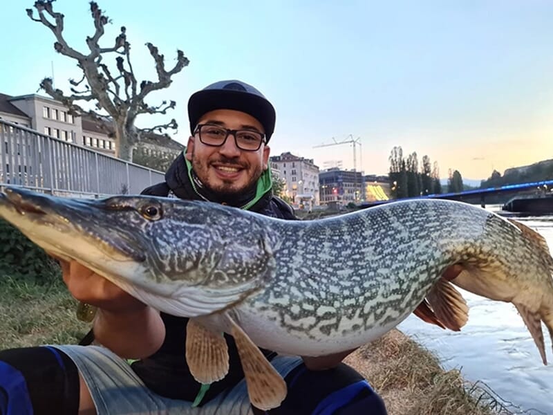 Homme souriant tenant un grand brochet fraîchement pêché au bord d'une rivière en fin de journée