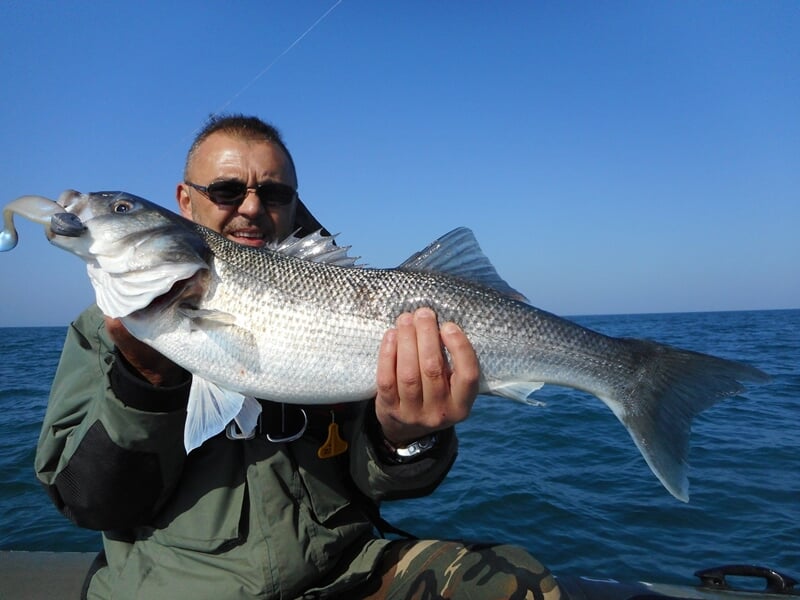 Pêcheur en veste verte tenant un poisson argenté de taille moyenne sur un bateau en mer calme.