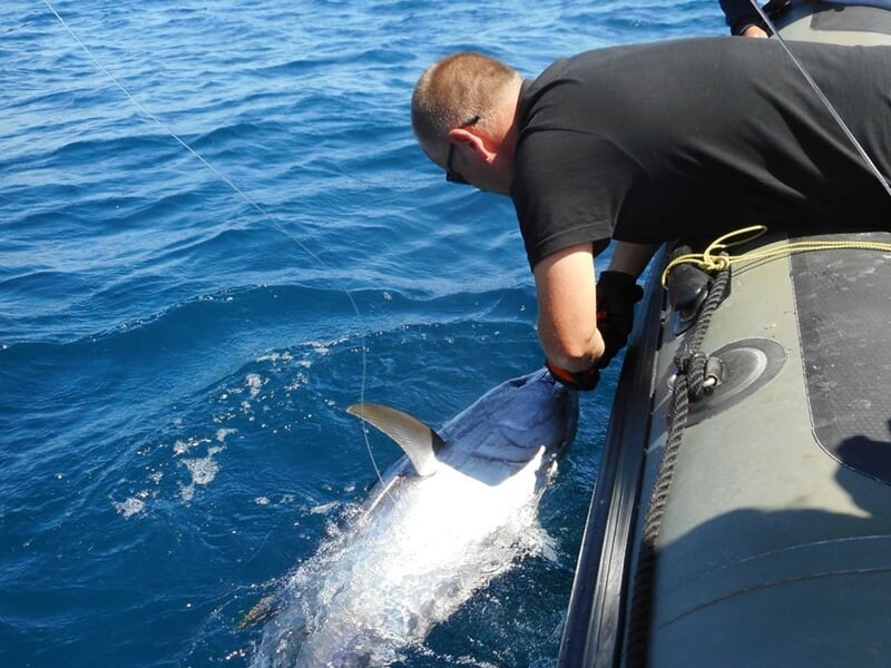 Personne penchée sur le bord d'un bateau attrapant un poisson dans l'eau bleue de la mer.