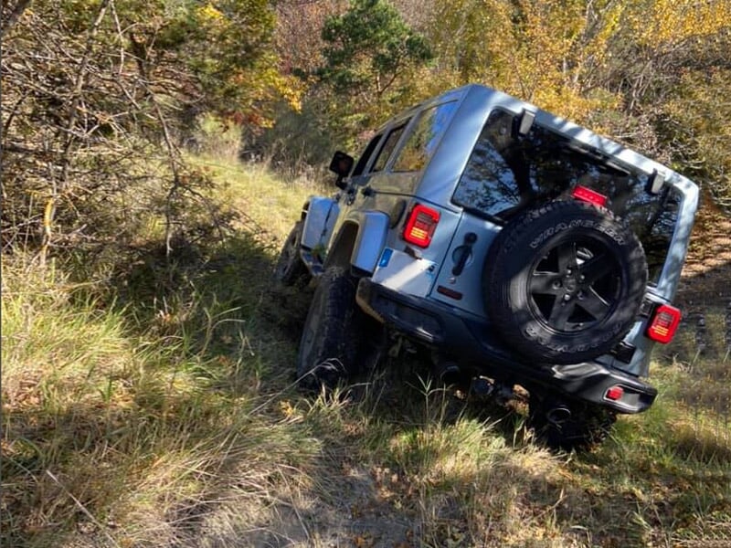Jeep gris de dos en forte inclinaison sur un chemin herbeux bordé d’arbustes et d’arbres