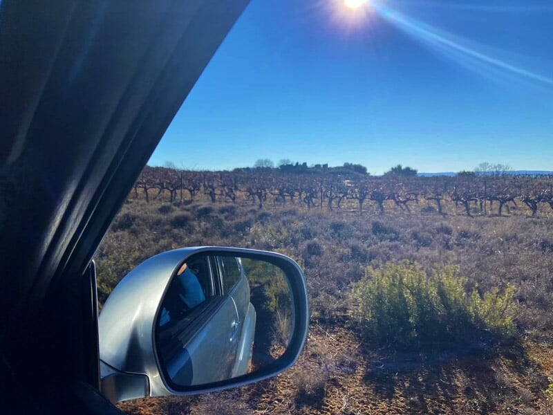 Vue latérale depuis l’intérieur d’un SUV gris sur vignoble ensoleillé et ciel dégagé