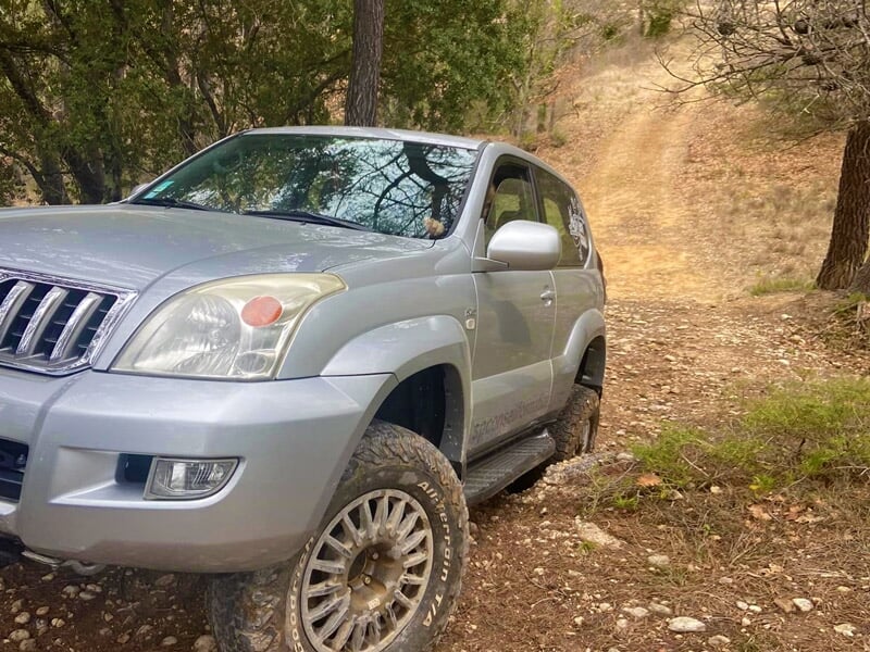 SUV gris métallisé en sous-bois sur terrain accidenté, roues avant braquées vers la gauche
