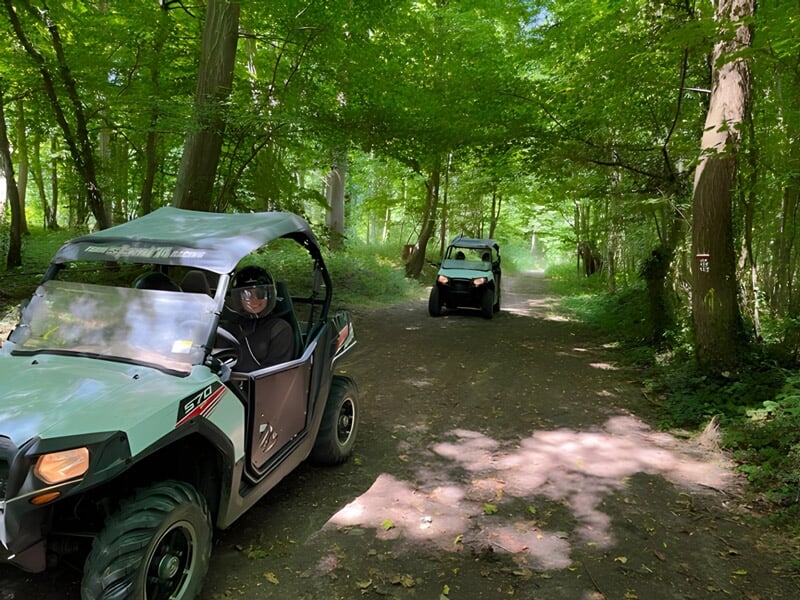 Deux quads verts circulant sur un sentier forestier entouré d'arbres et de lumière tamisée.