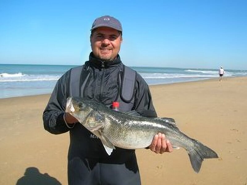 Homme debout sur une plage ensoleillée tenant un gros poisson avec l'océan en arrière-plan.