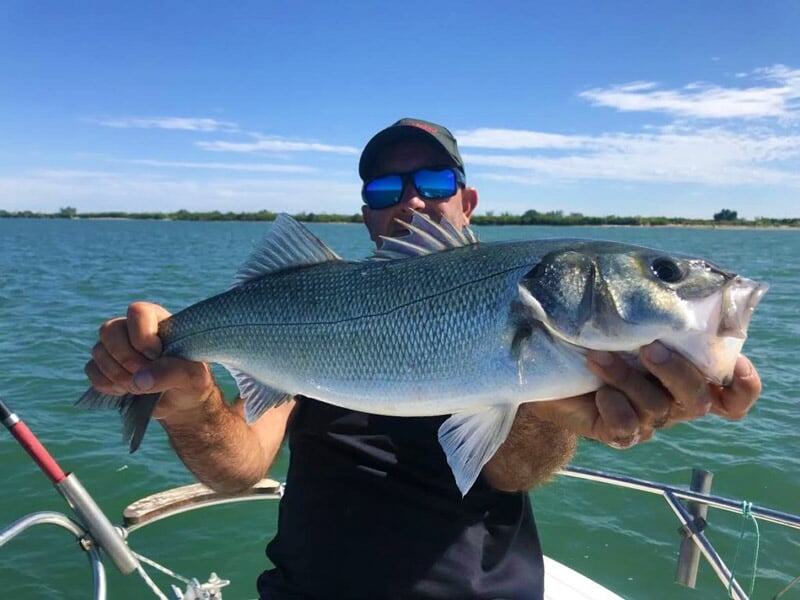 Pêcheur tenant un gros poisson argenté sur un bateau, avec des lunettes de soleil et un paysage d'eau calme en arrière-plan.