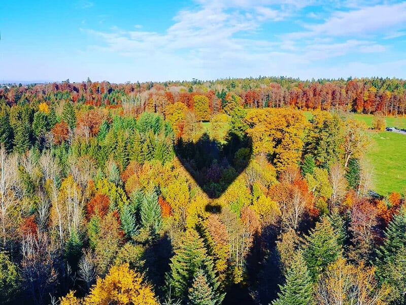 Ombre d'une montgolfière en forme de cœur projetée sur une forêt aux couleurs d'automne.