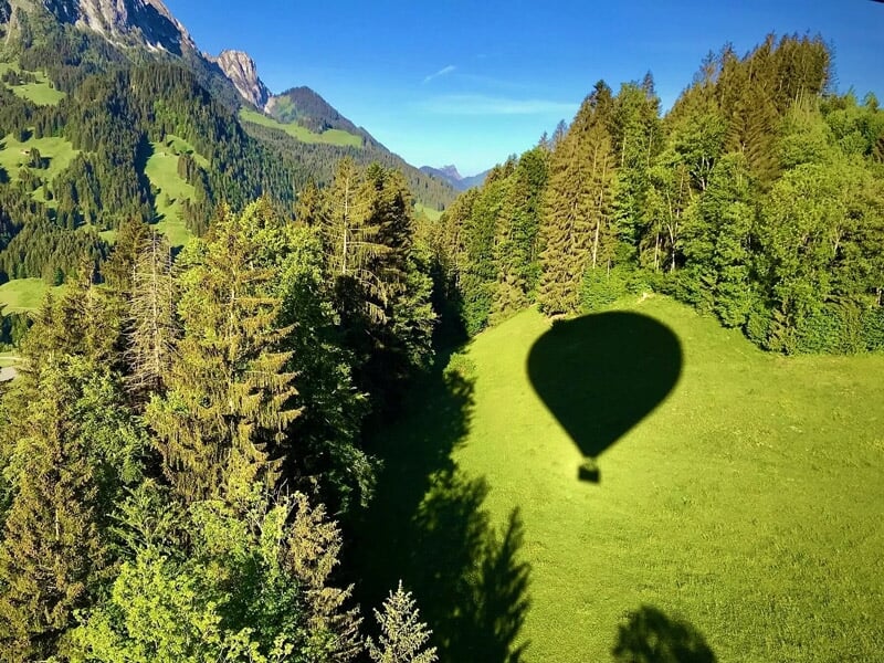 Ombre d'une montgolfière projetée sur une clairière entourée d'arbres verts en forêt.