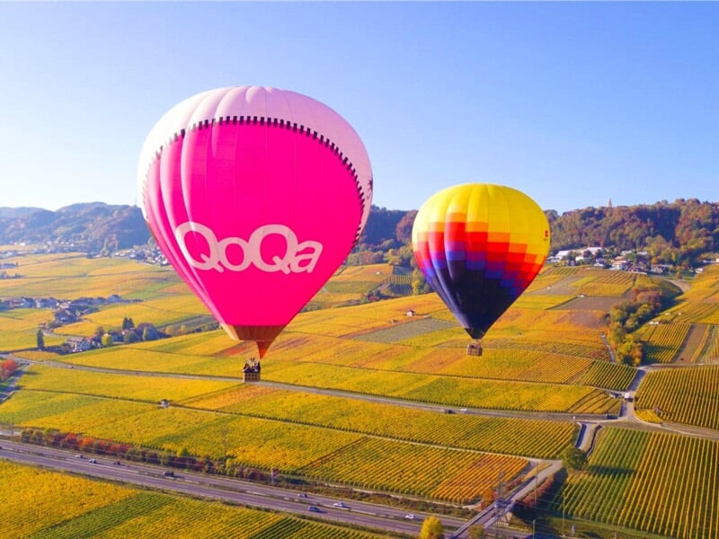 Deux montgolfières colorées survolant un vignoble aux couleurs d'automne sous un ciel clair.