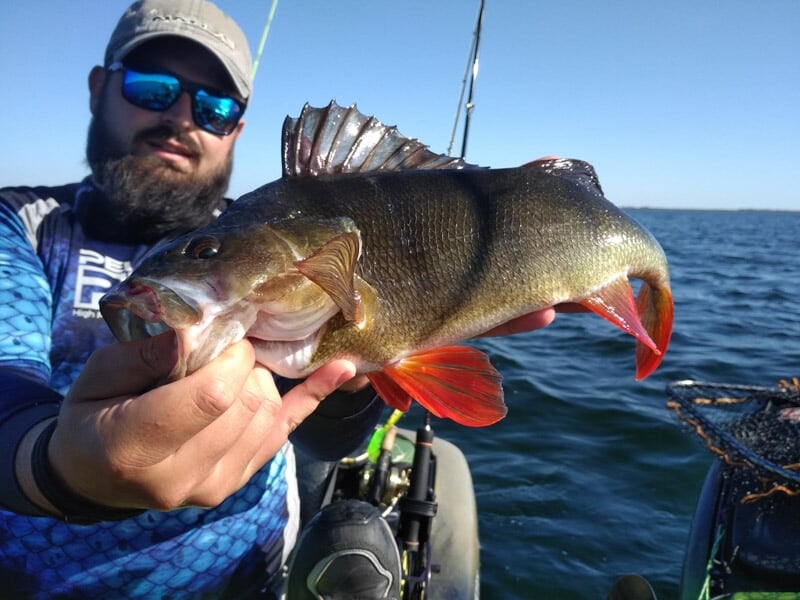 Pêcheur moustachu en bateau tenant une grosse perche aux nageoires rouges, sous un ciel bleu clair.