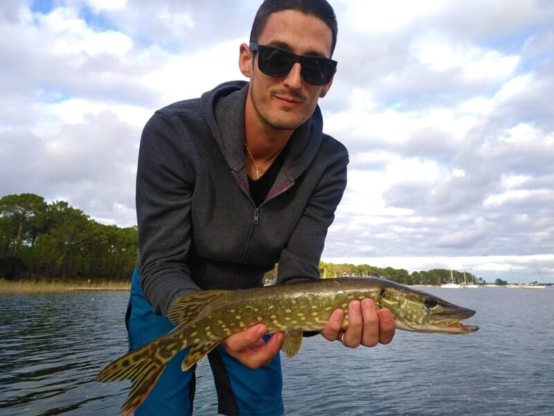 Jeune pêcheur en sweat à capuche tenant un brochet sur un lac avec forêt en arrière-plan sous ciel nuageux.
