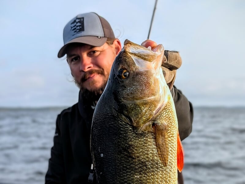 Un pêcheur avec une casquette tenant un gros poisson perche devant un lac avec un ciel clair.